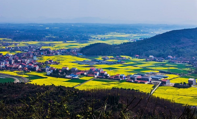 荊門(mén)農(nóng)村生活污水治理重點(diǎn)工程